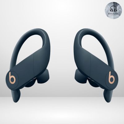 Beats Powerbeats Pro Earbuds